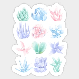 Illustration Plants Colorful Succulent Graphic Leaf Garden Sticker